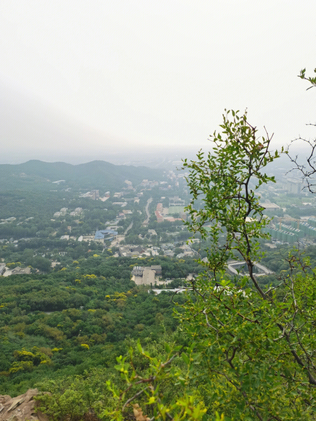 荒山野岭是成语吗图片