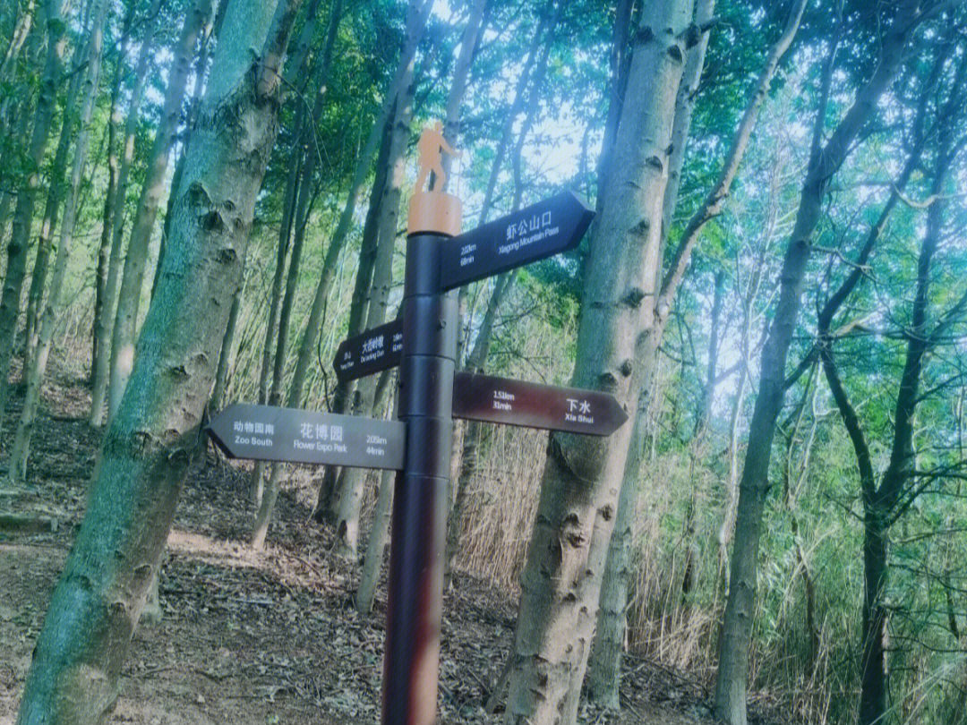 虾公山步道图片