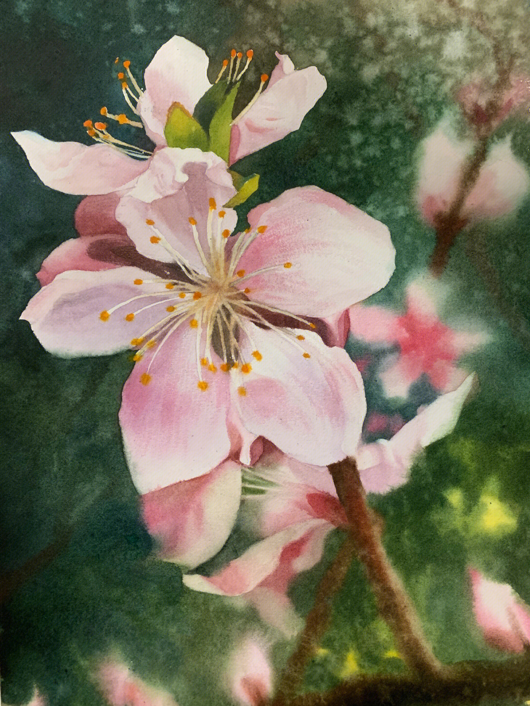 水彩画桃花步骤图片