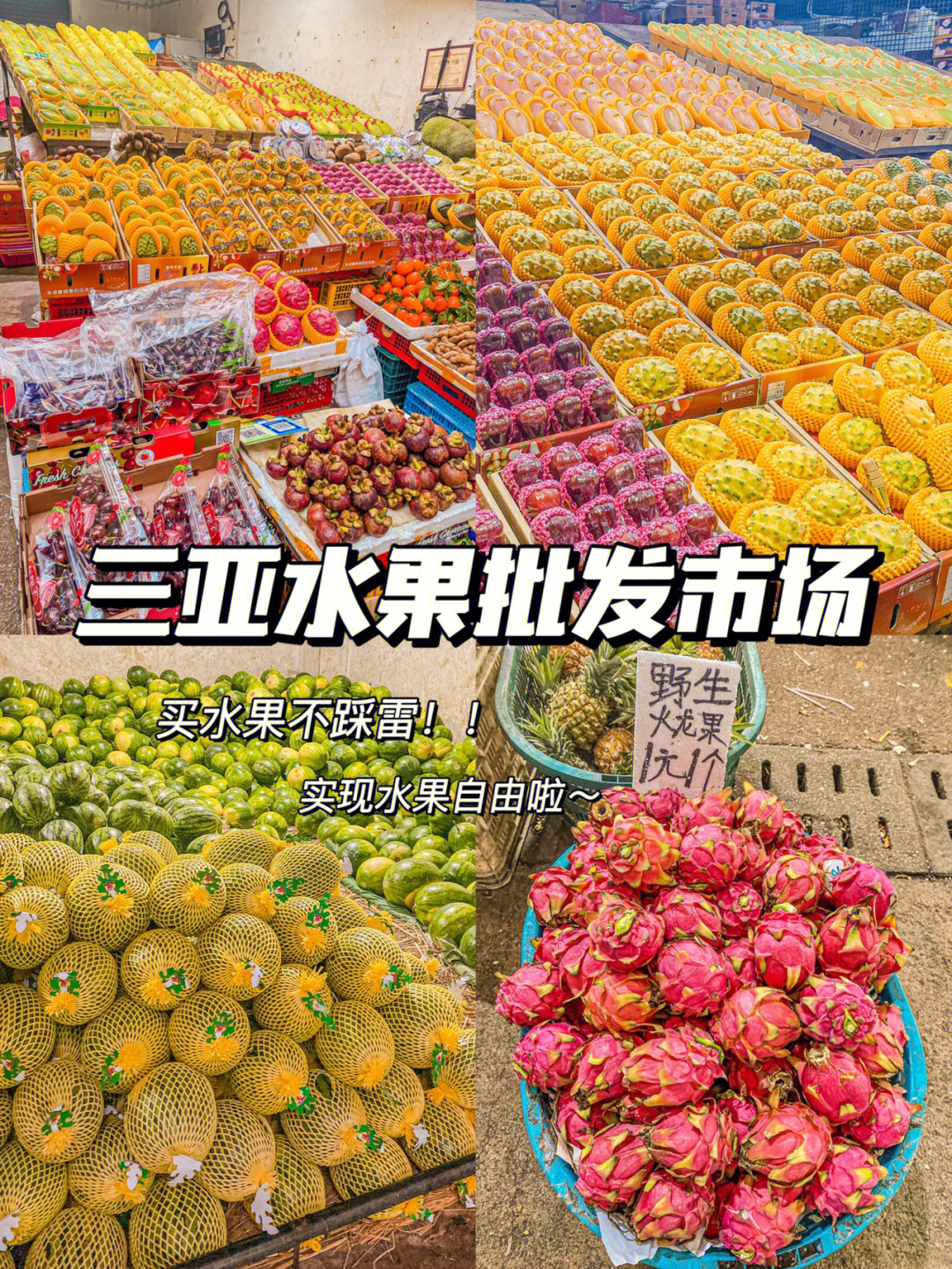 三亚吉阳水果批发市场_三亚水果批发市场_三亚最大的水果批发市场