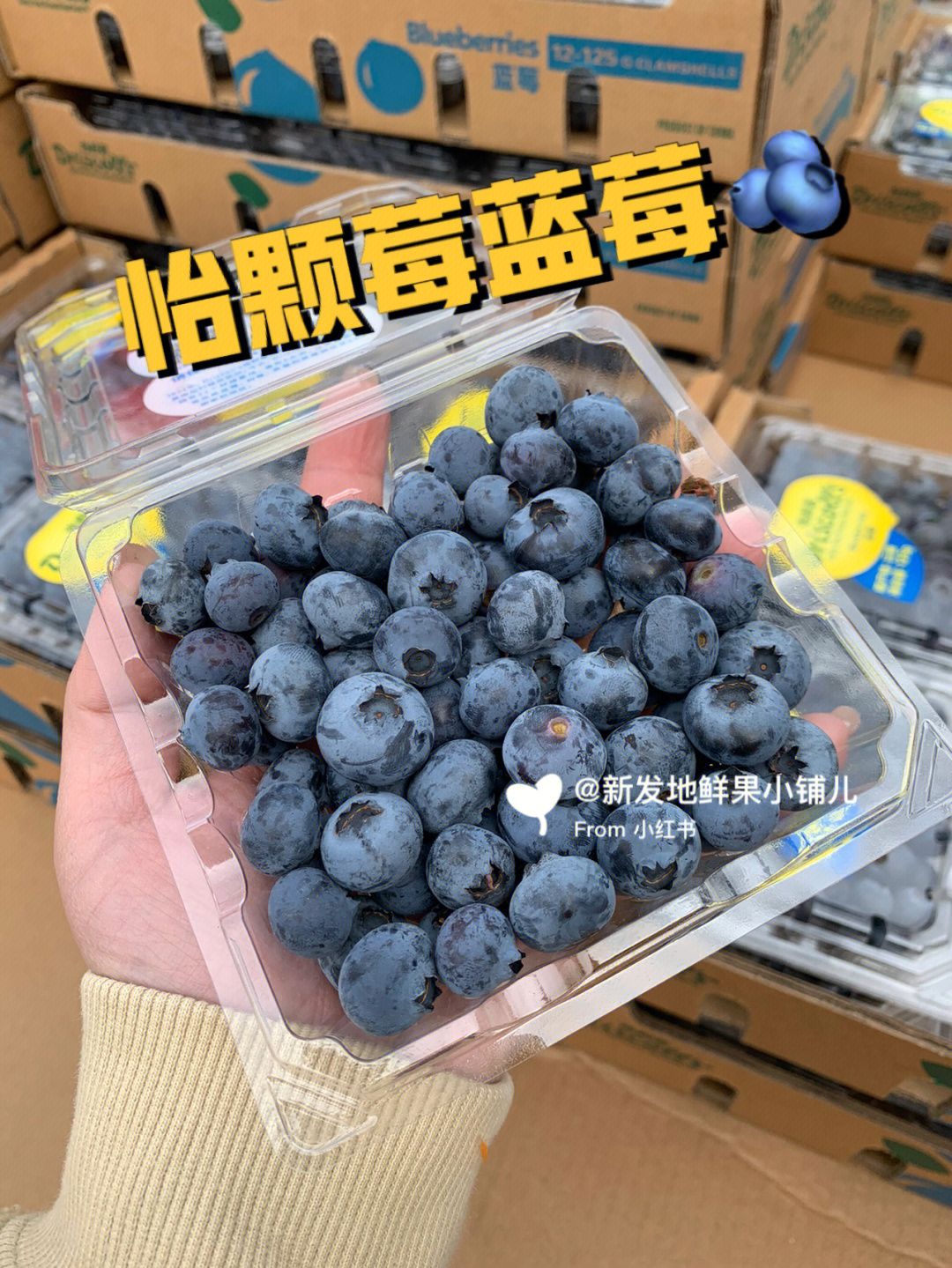 新发地水果之怡颗莓蓝莓08同城包邮