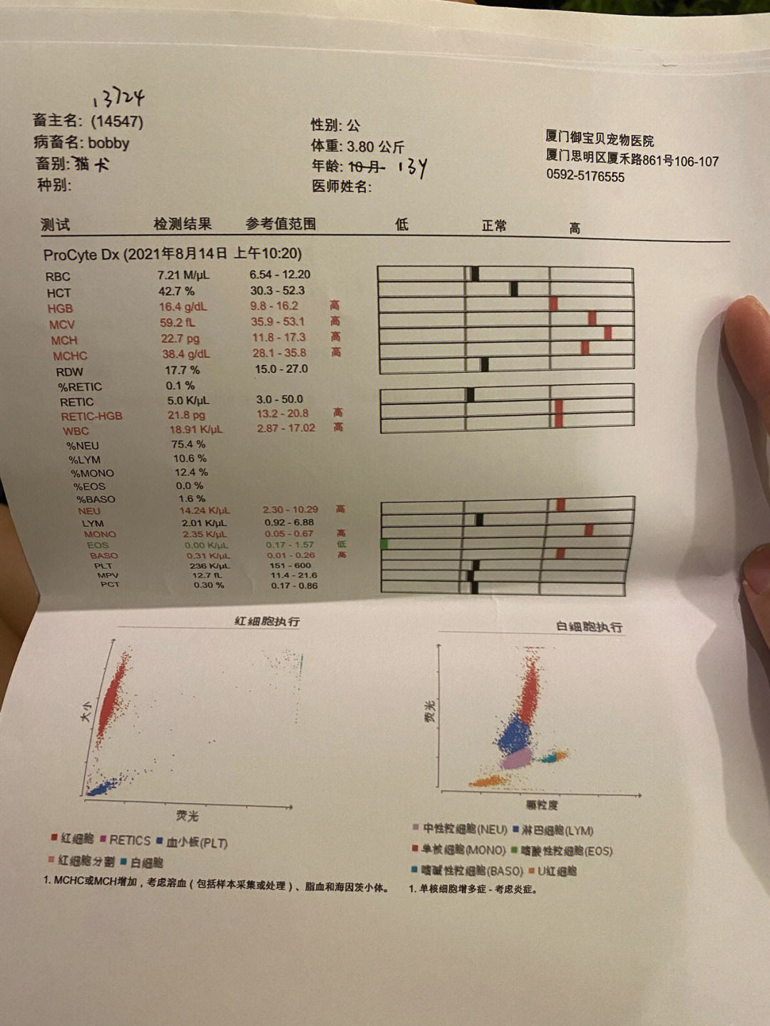 记录厦门御宝贝动物医院看病过程上