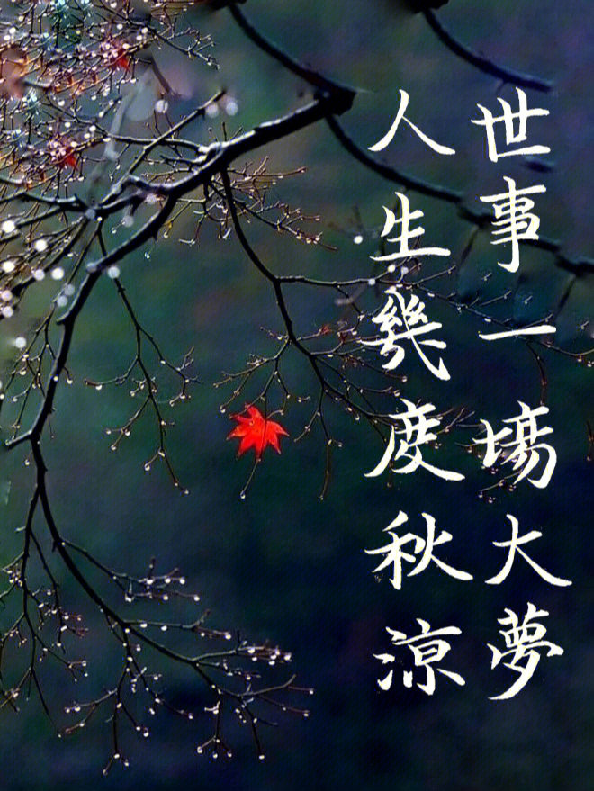 世事一场大梦,人生几度秋凉#诗词#硬笔书法练习#硬笔书法#硬笔