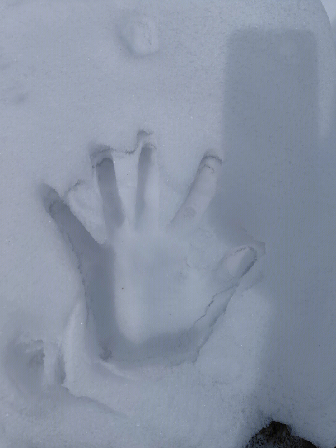 雪地里的手印图片