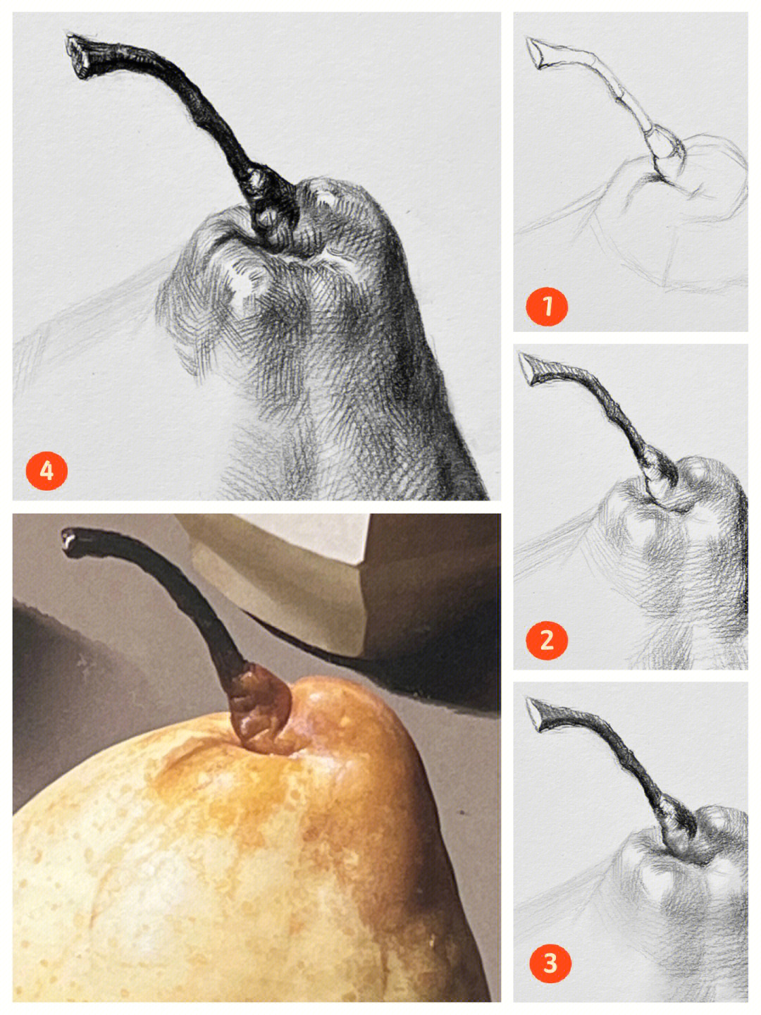 素描静物梨子蔕步骤2这样的梨子你画过吗