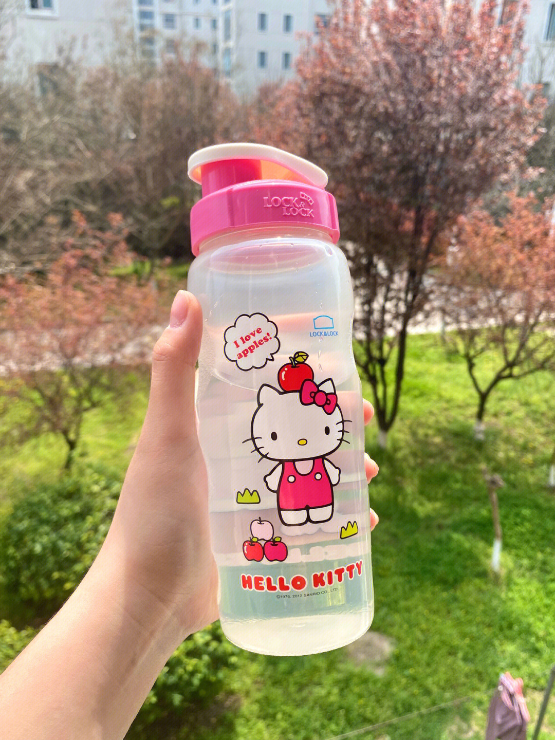 hellokitty断货水杯locklock水杯买到了