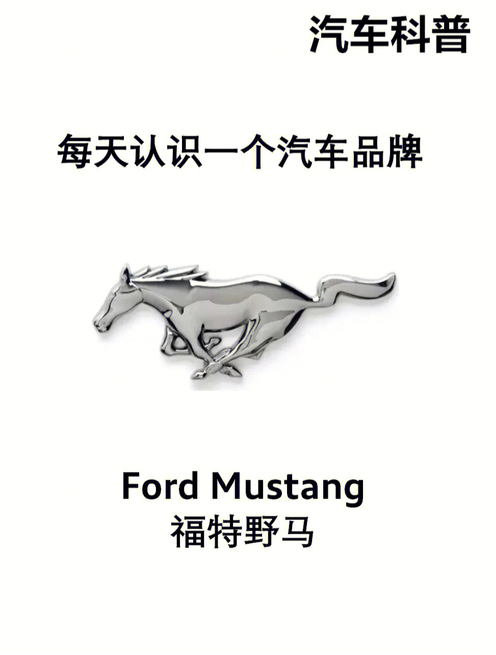 mustang心心念的野马和心心念的电马