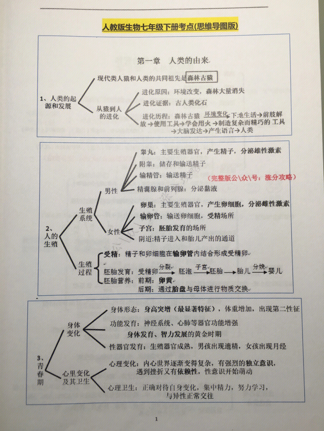 七年级下册生物思维导图知识点总结