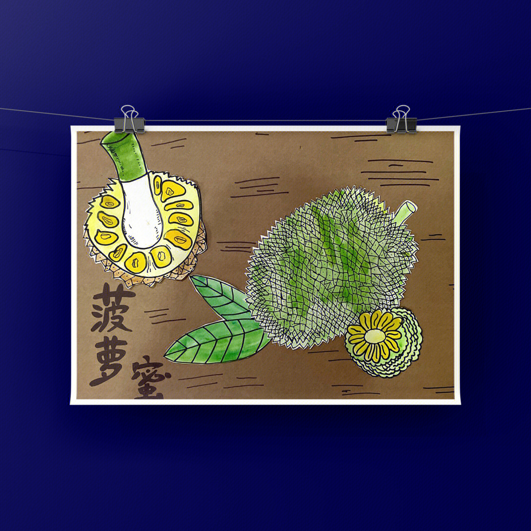 菠萝蜜简笔画 简单图片