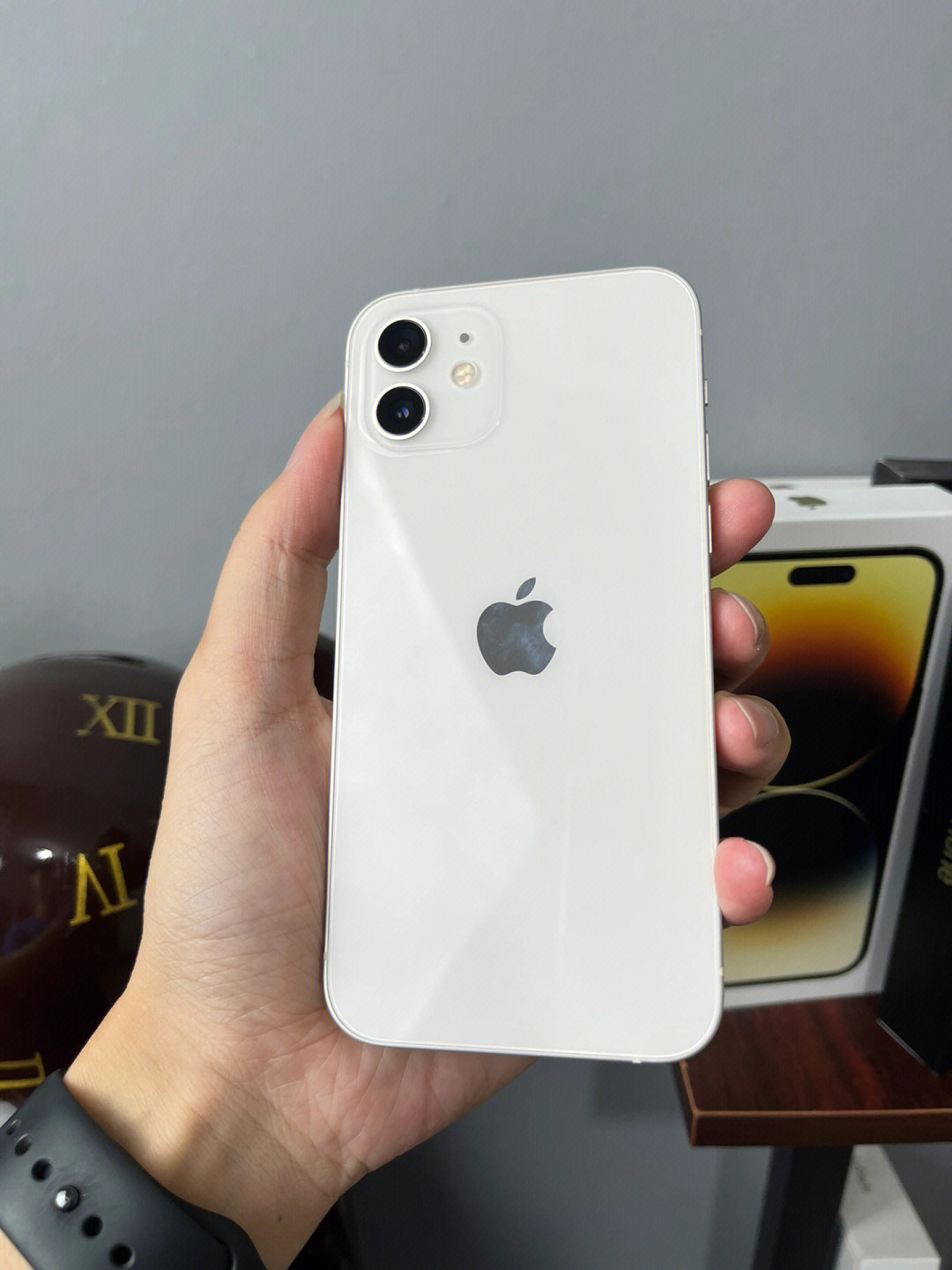 iphone12拍完照片变白图片