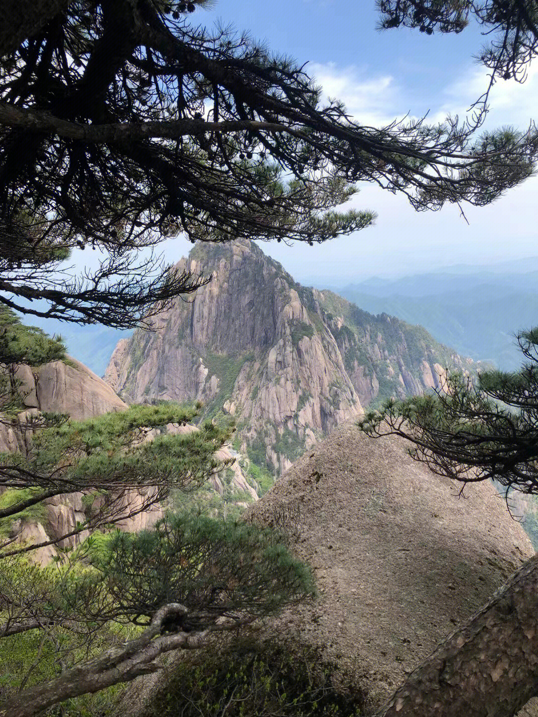 黄山四大奇观介绍图片