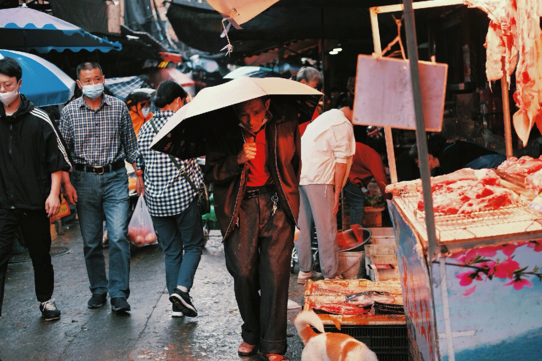 闹市闲民图片