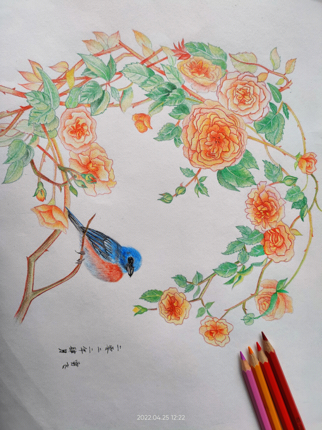 彩铅画樱花画法图片