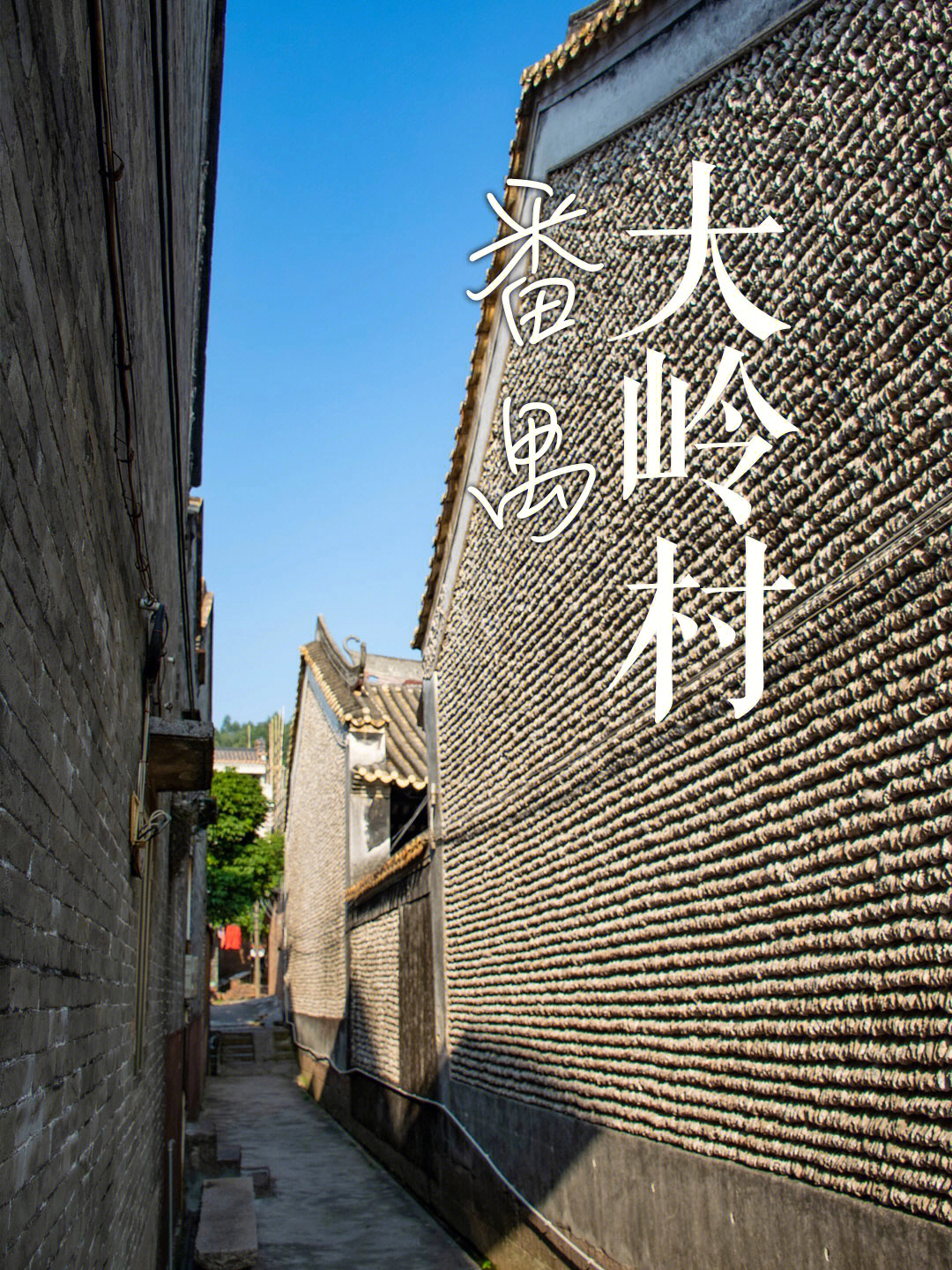 大岭山大沙村图片