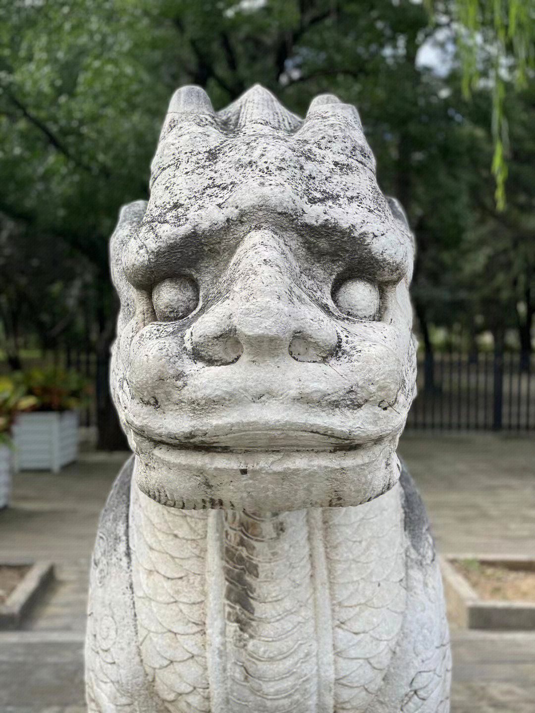 它最初的原型就是老龟,赑屃指的是碑顶盘龙发力的姿态,文献可见宋代