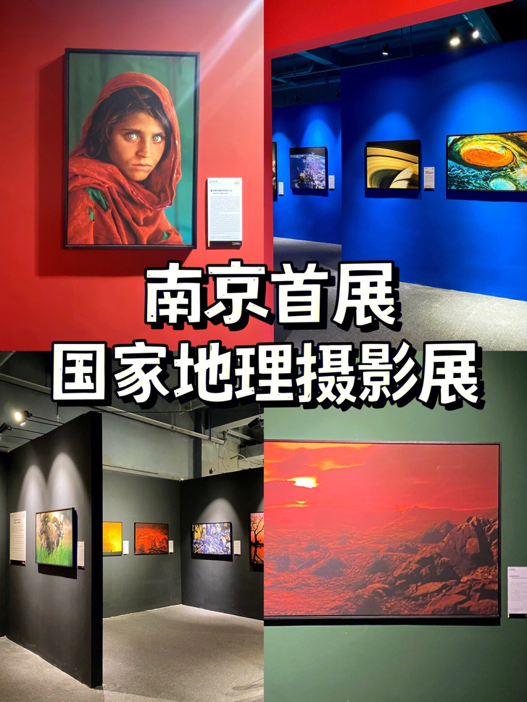 南京国家地理摄影展图片