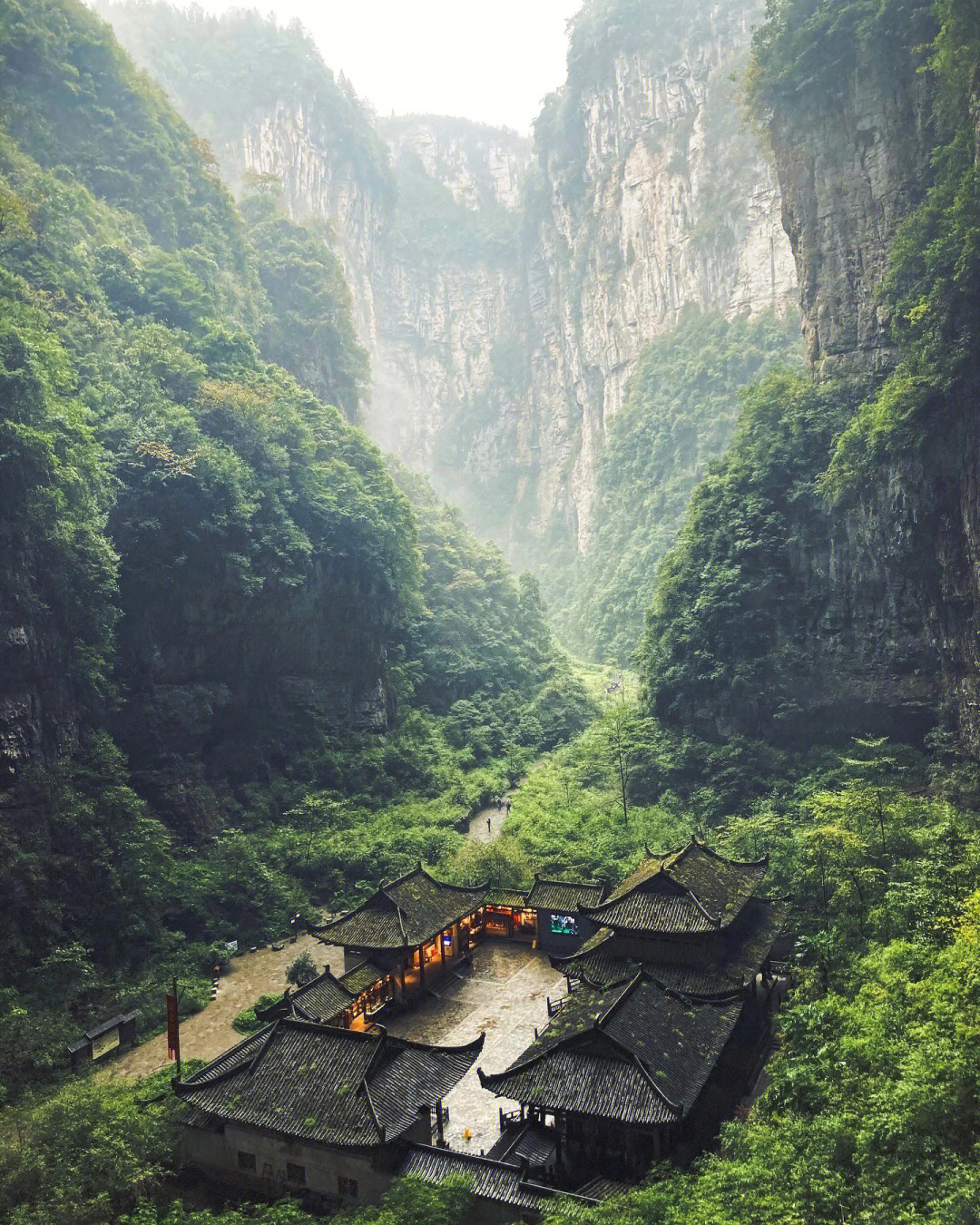 老外在中国#国内旅游#外国人真会玩#重庆武隆仙女山#美丽