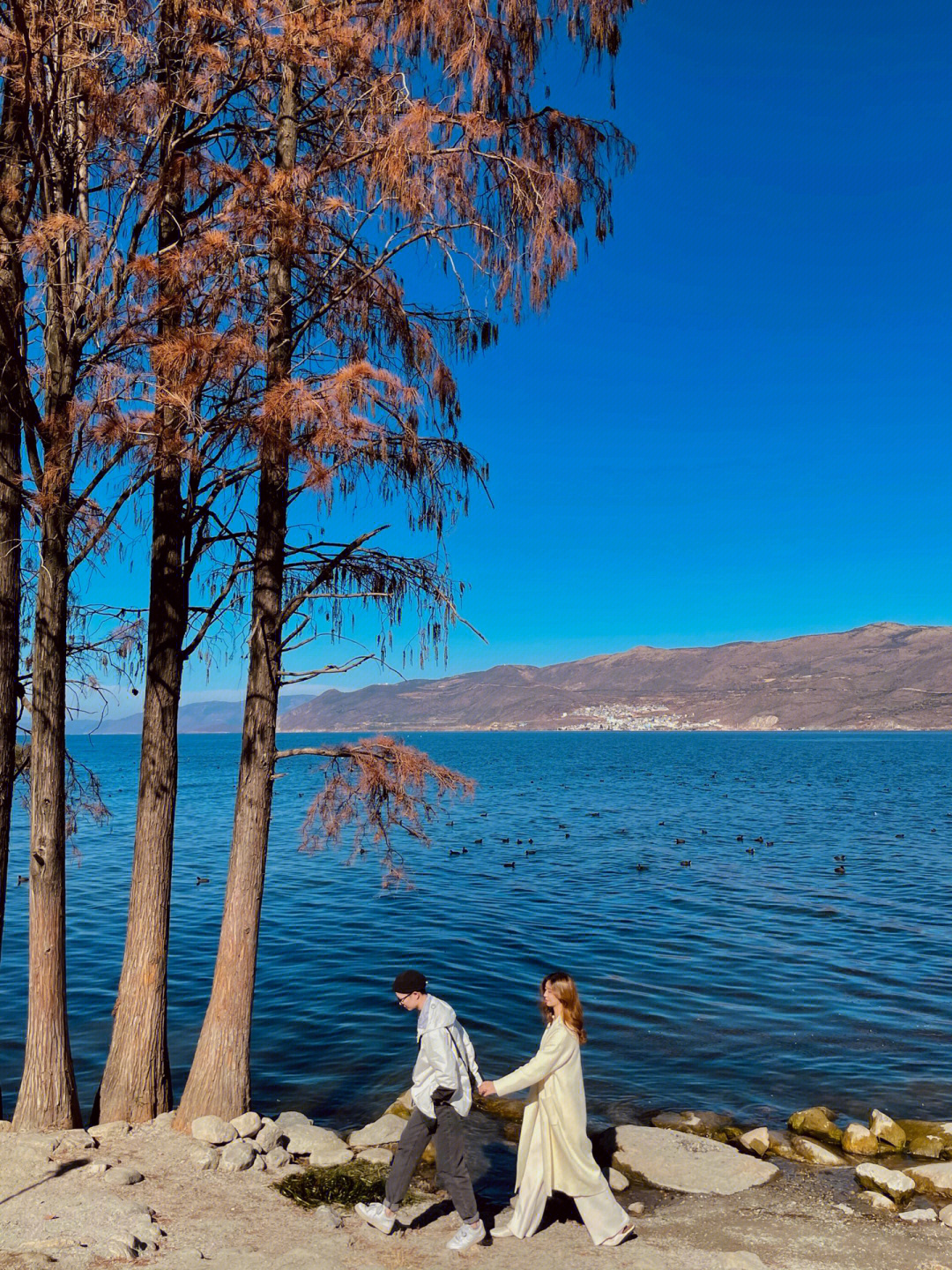 自然风景照情侣图片