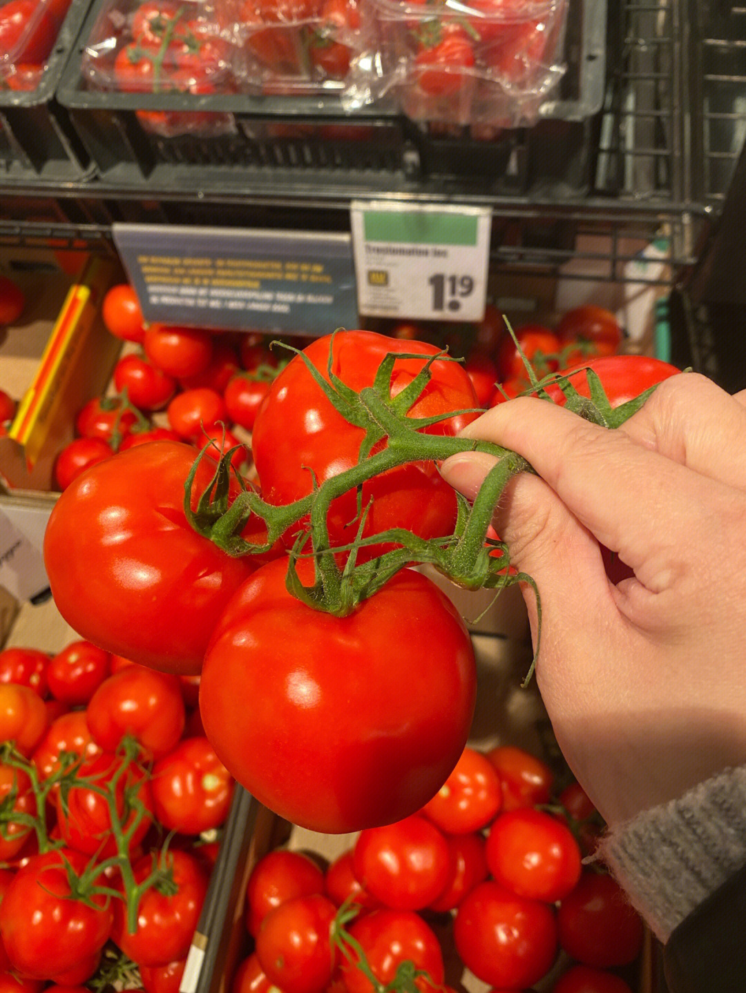 荷兰超市番茄篇
