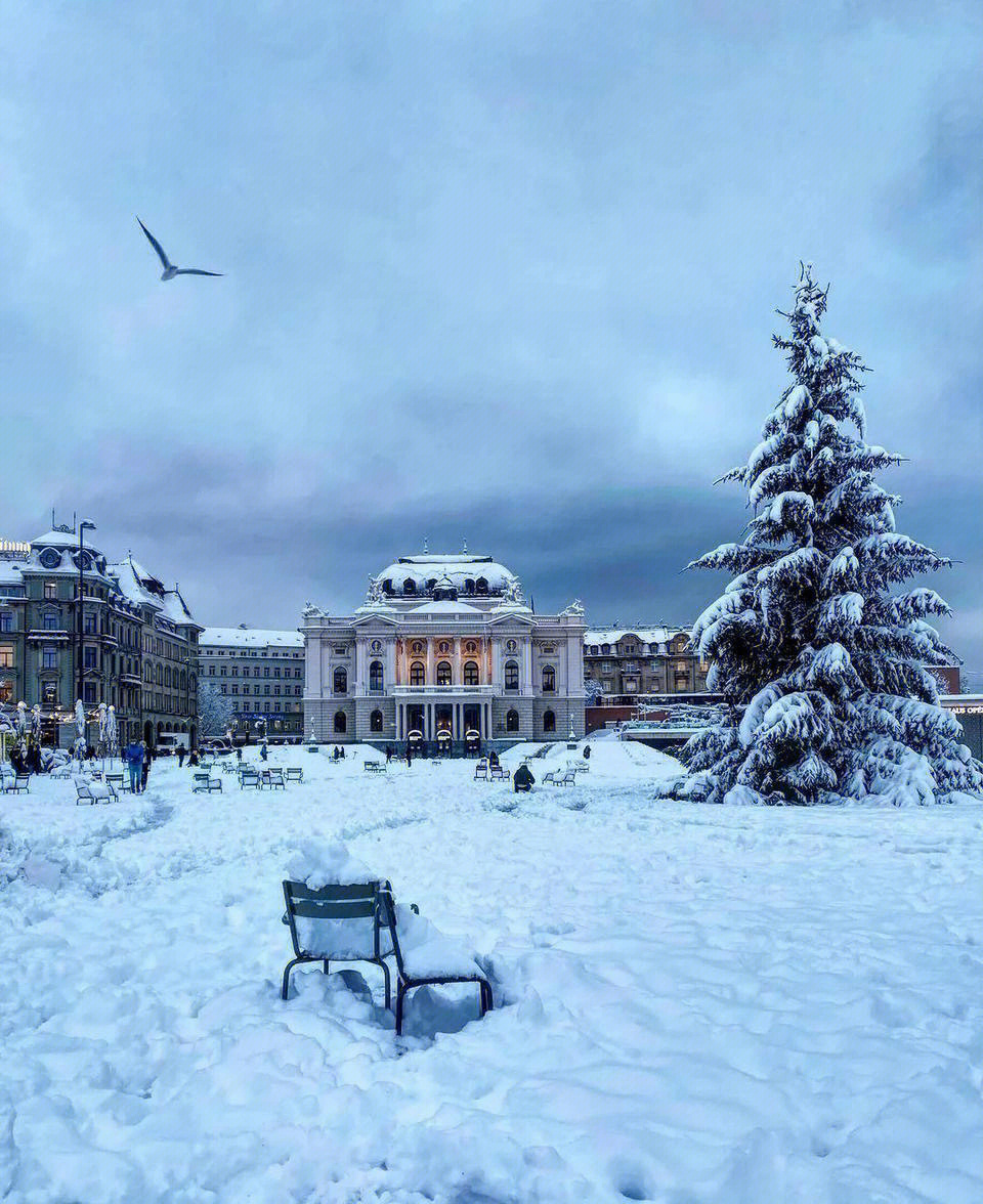 苏黎世雪景图片