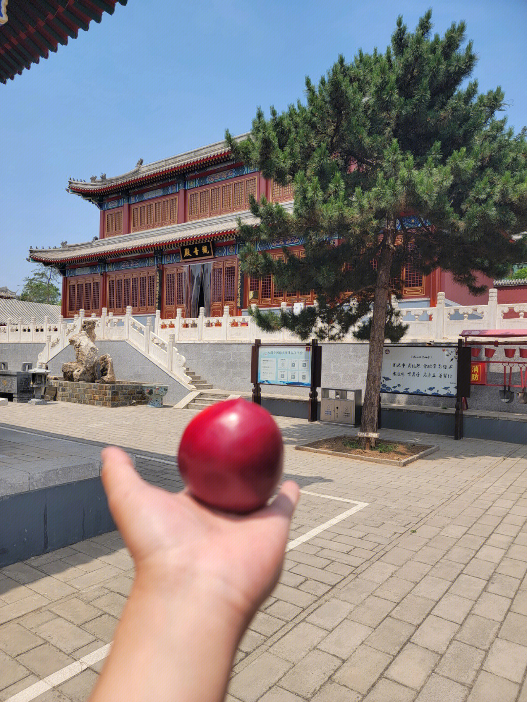 红城寺当地强行封寺院图片