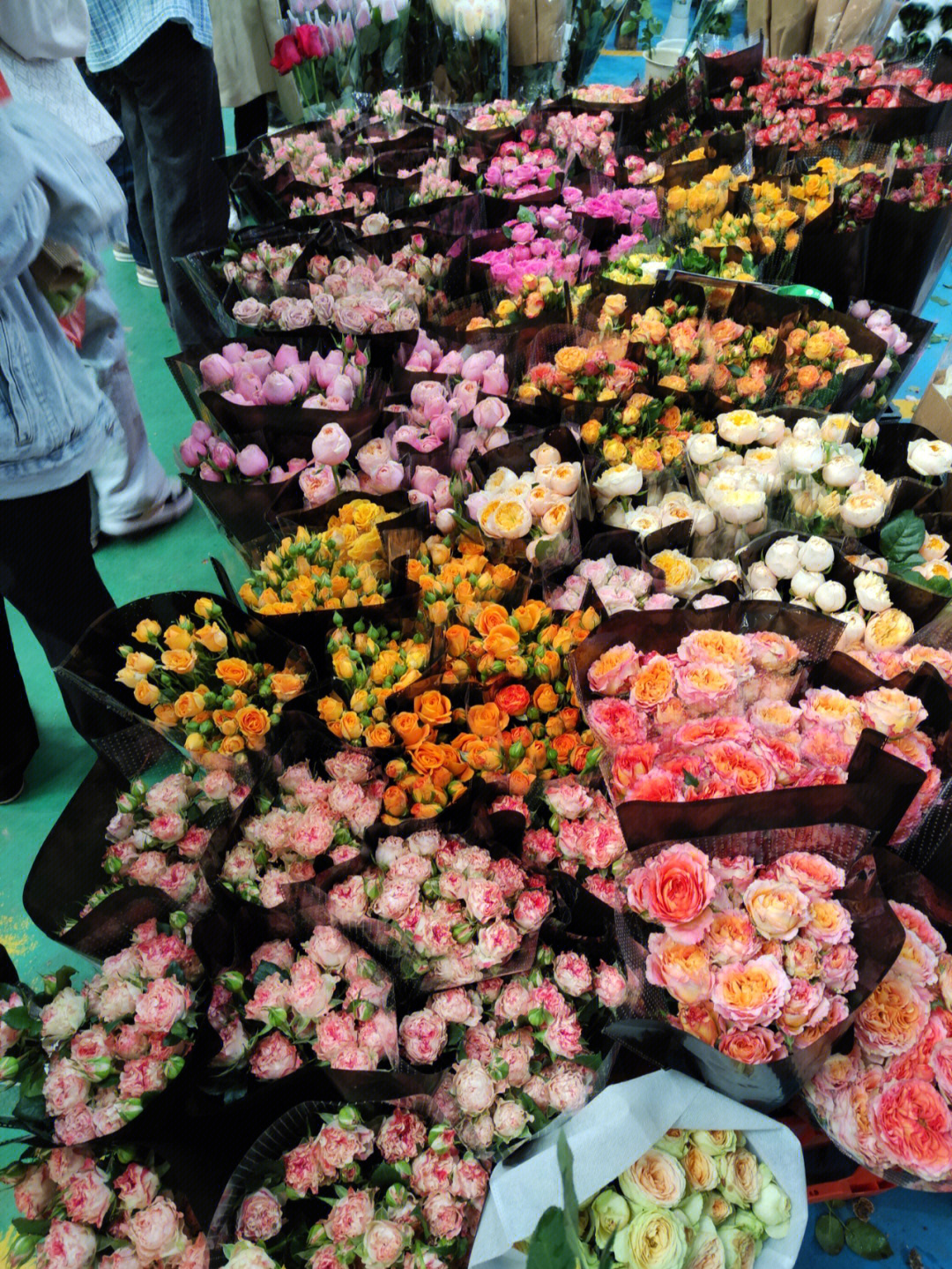 斗南花卉市场买花攻略图片