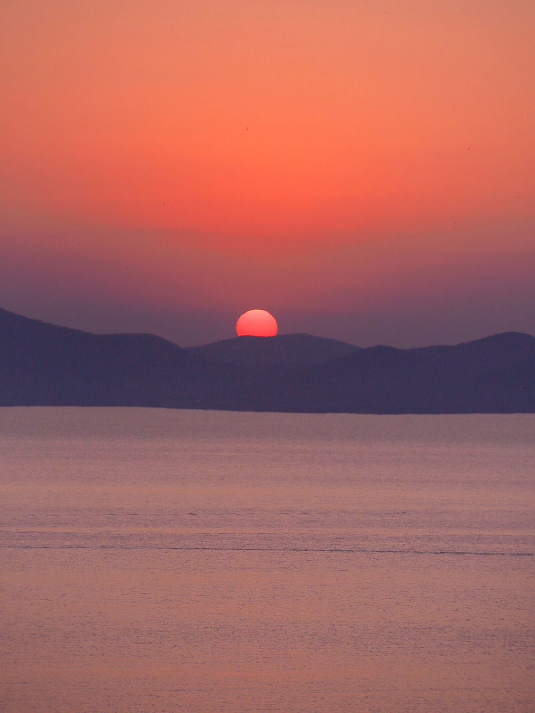 夕阳有约图片