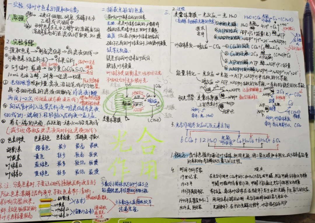 光合作用思维导图简短图片