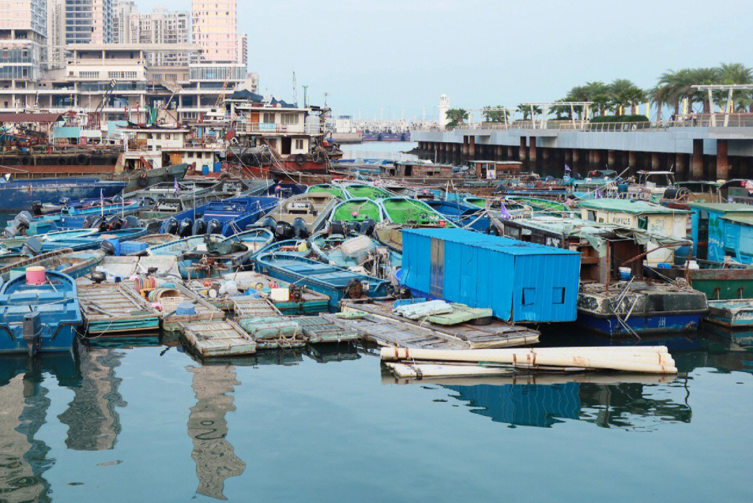 深圳蛇口后海图片