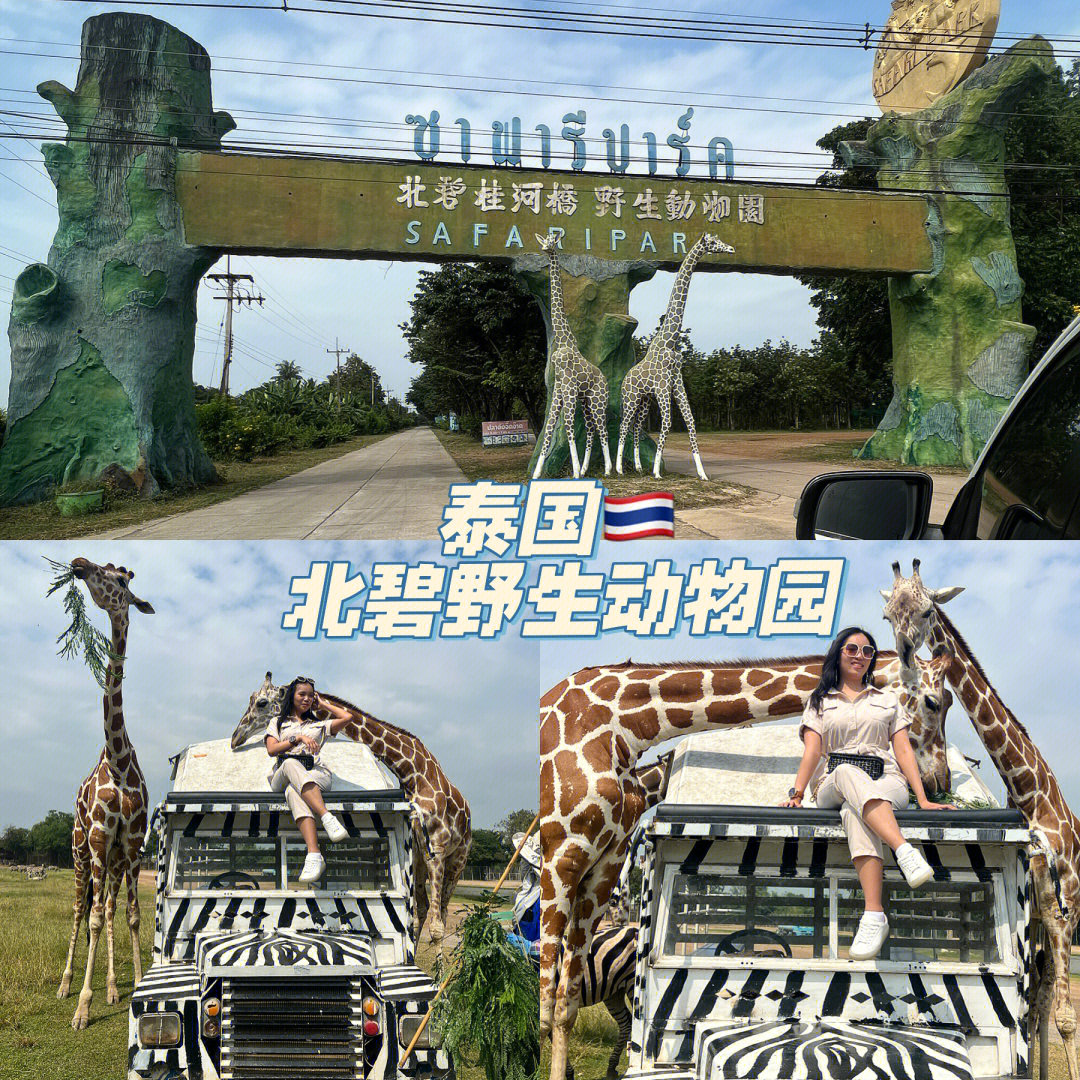 泰国9593野生动物园safaripark