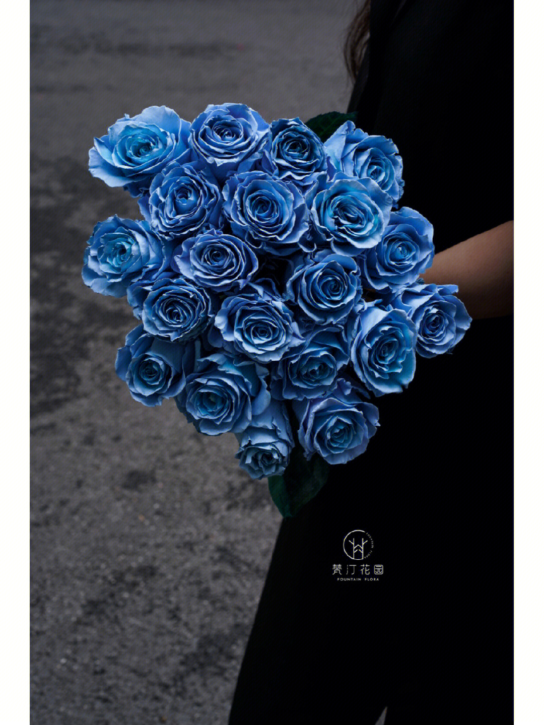 厄瓜多尔玫瑰的花语图片