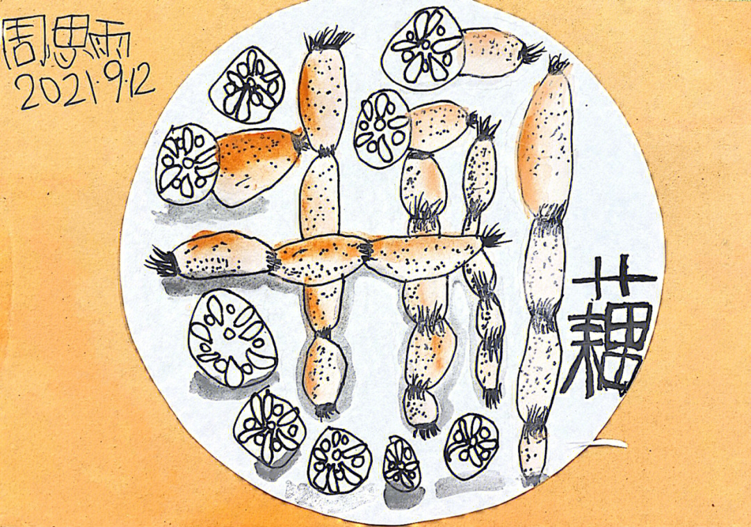 儿童画莲藕美术教案图片