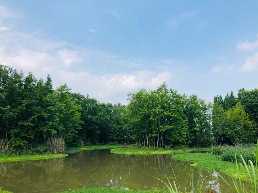 崇州慢城湿地公园图片