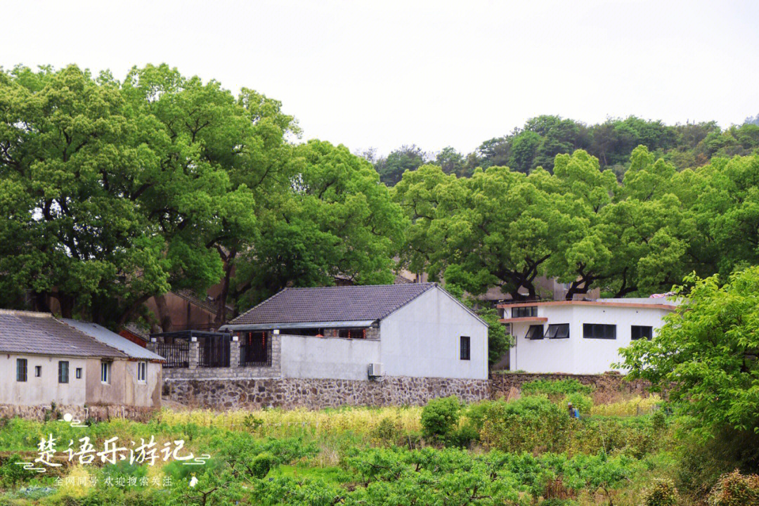 宁波市奉化区的缪家村和章胡村之间有一个乡村,我游玩时经过那里,看见