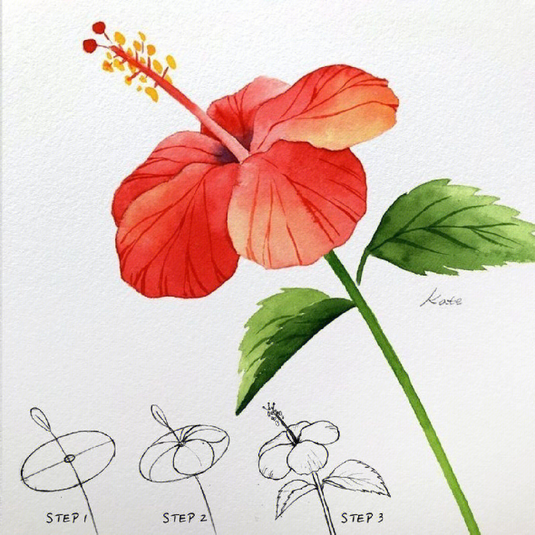 绘画教程一组花卉的画法