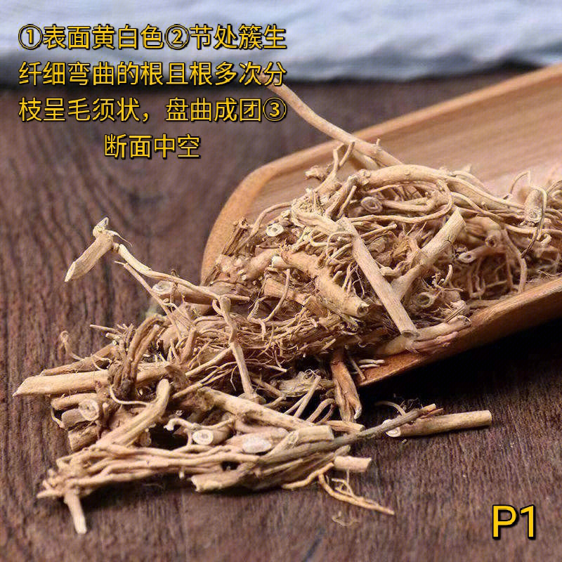 根及根茎类中药一览表图片