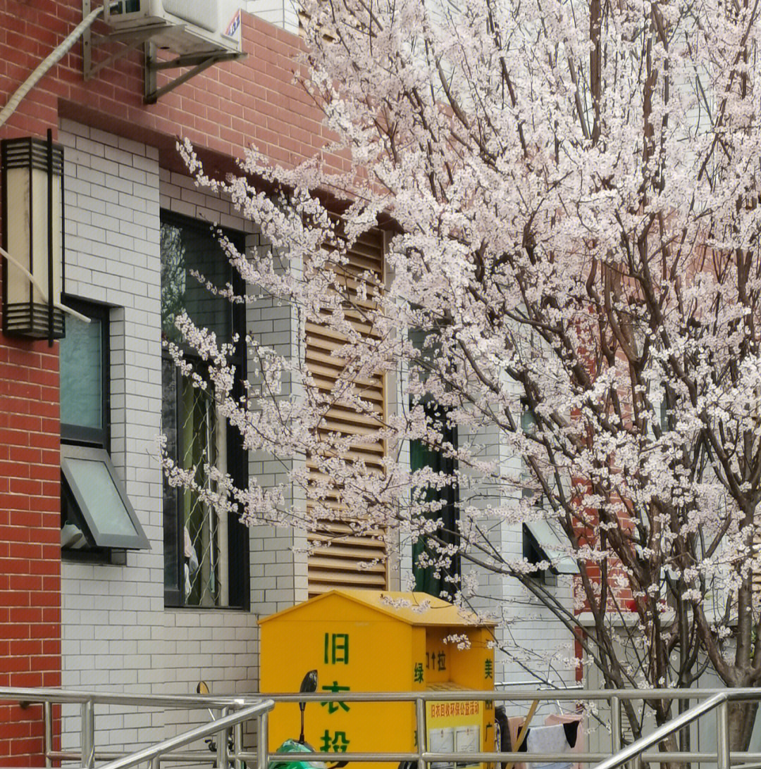 川北幼儿师范高等学院图片