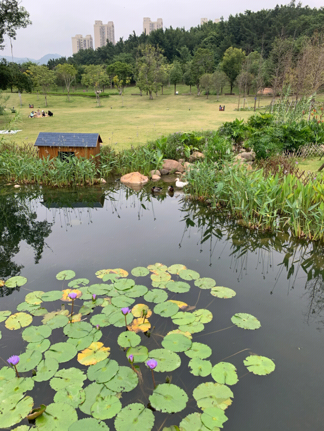 牛岗山公园图片