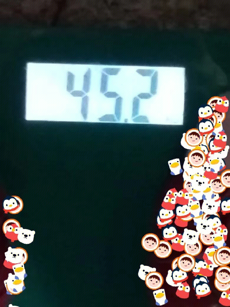我的减肥计划/48kg→44kg