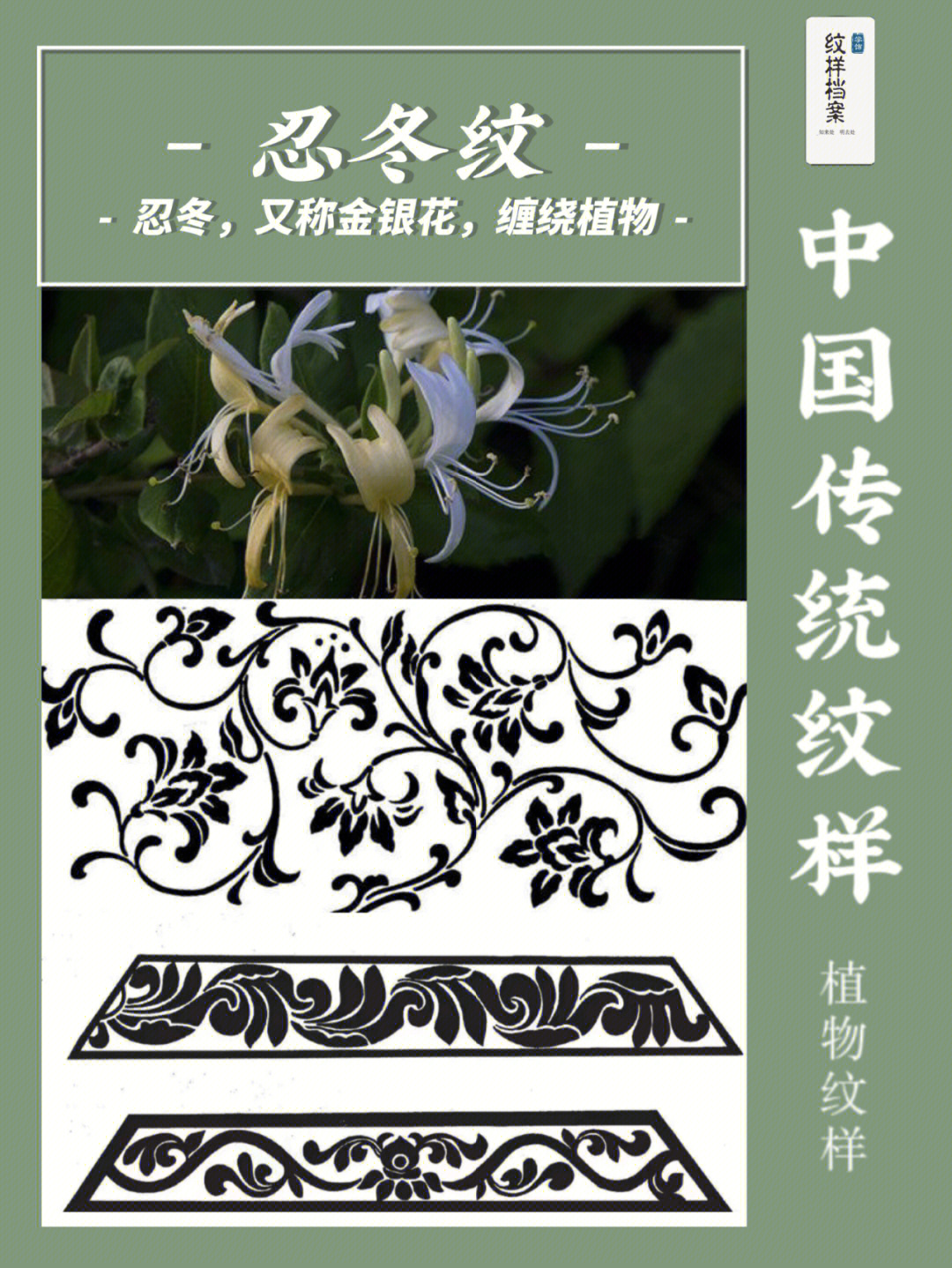 中国传统纹样—忍冬纹 设计素材