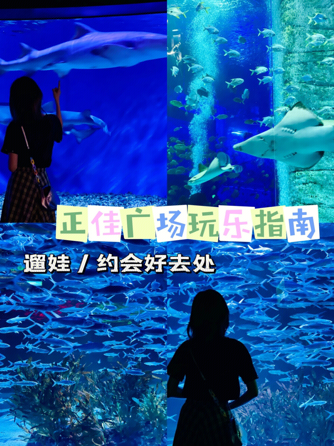 广州正佳海洋馆攻略图片