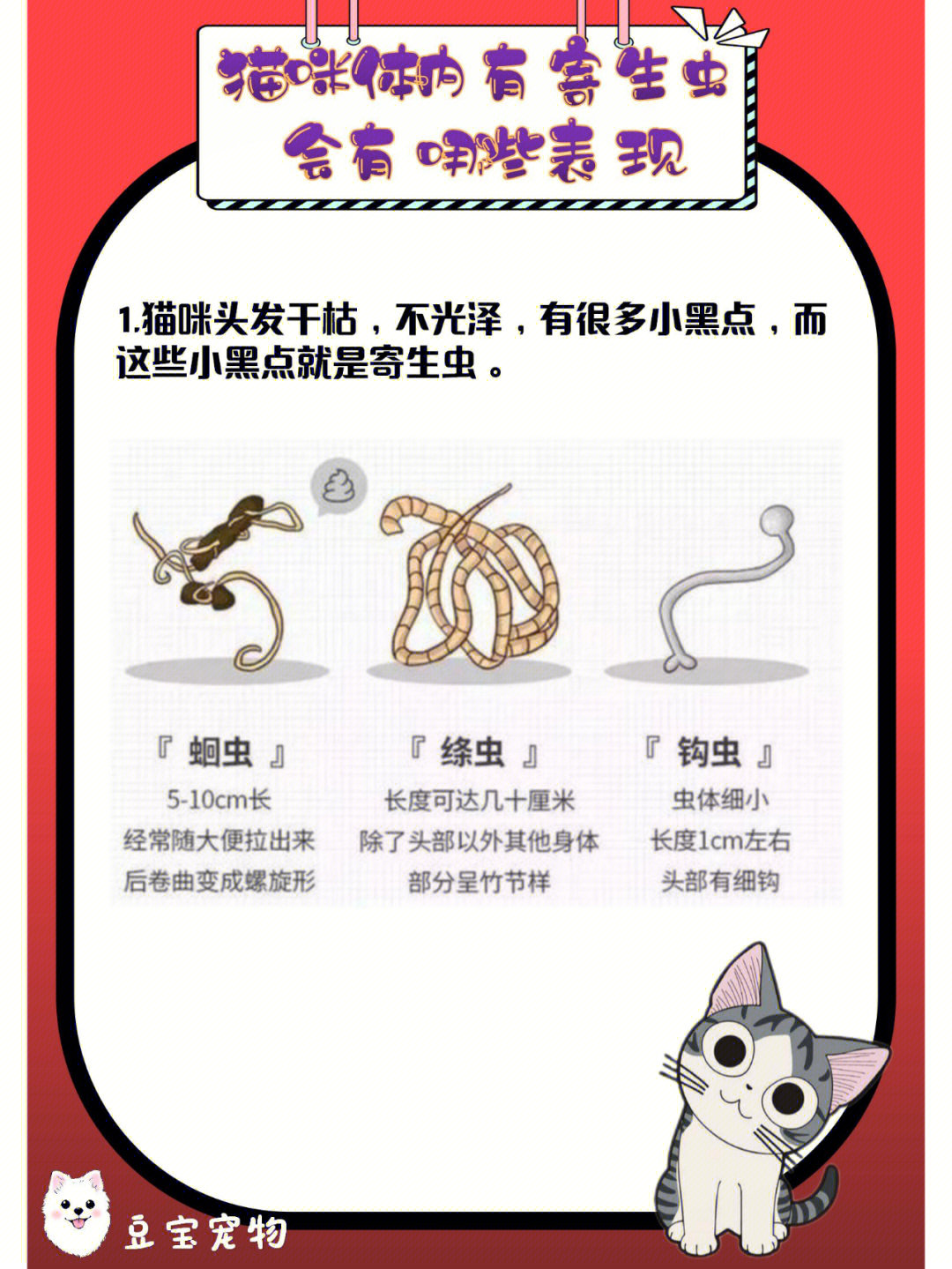 猫绦虫会往人身上爬吗图片