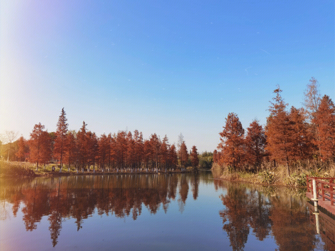 苏州虎丘湿地公园