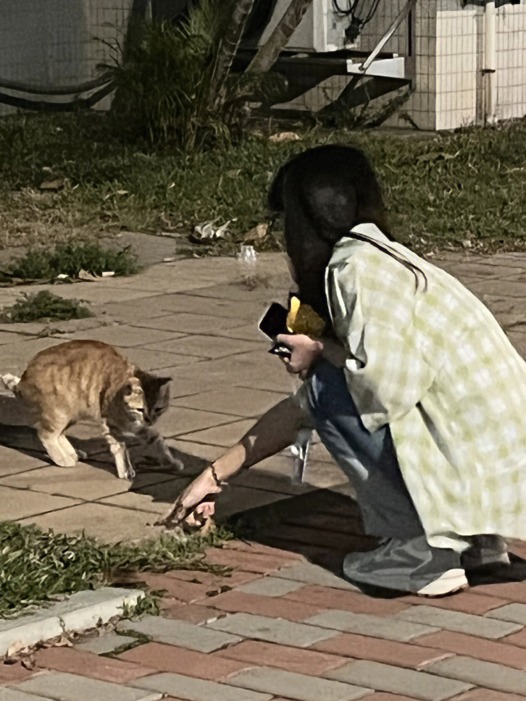 人和猫一起的照片图片