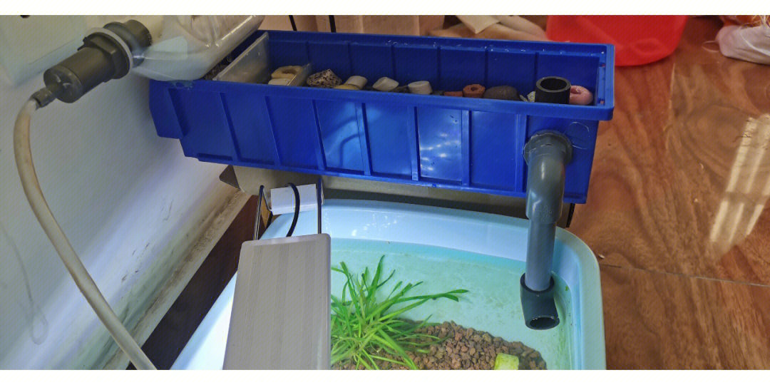 自制pvc管鱼缸过滤系统图片