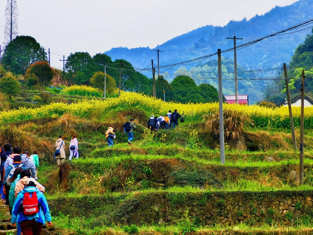 胥岭古道图片