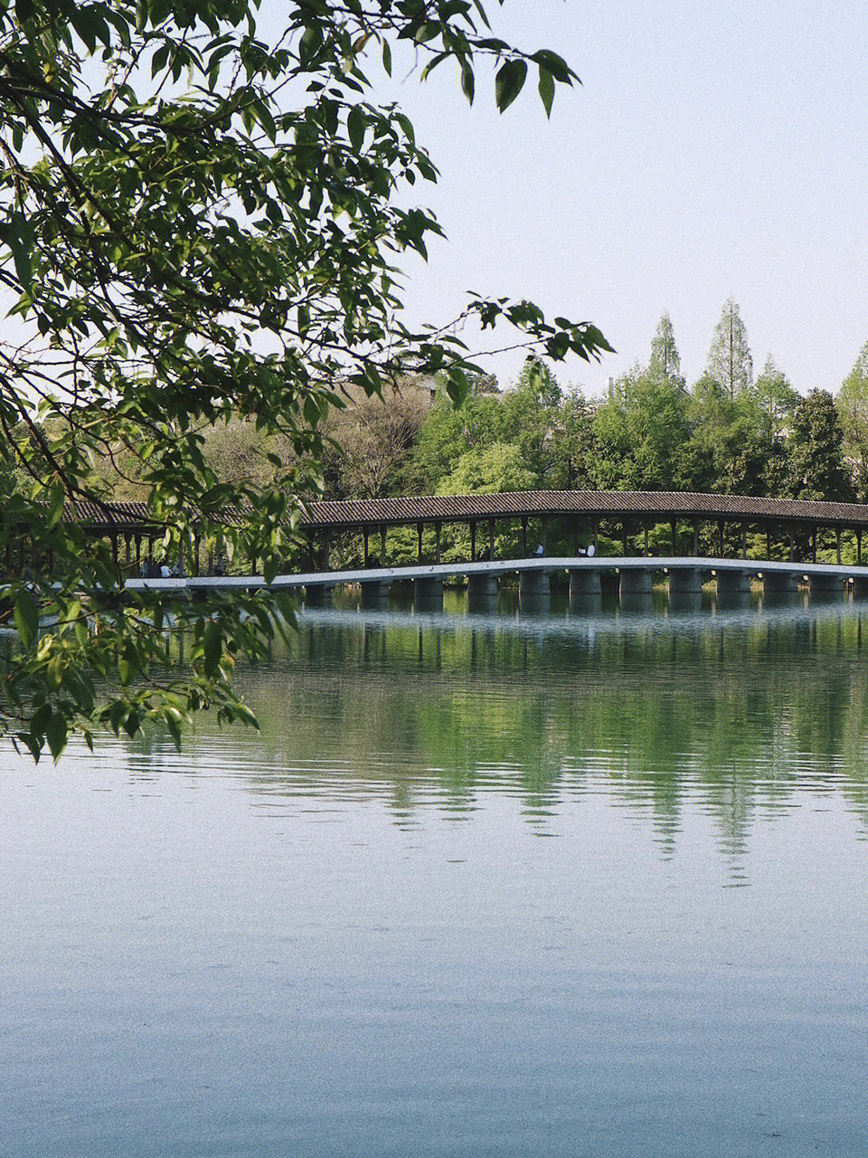 浴鹄湾