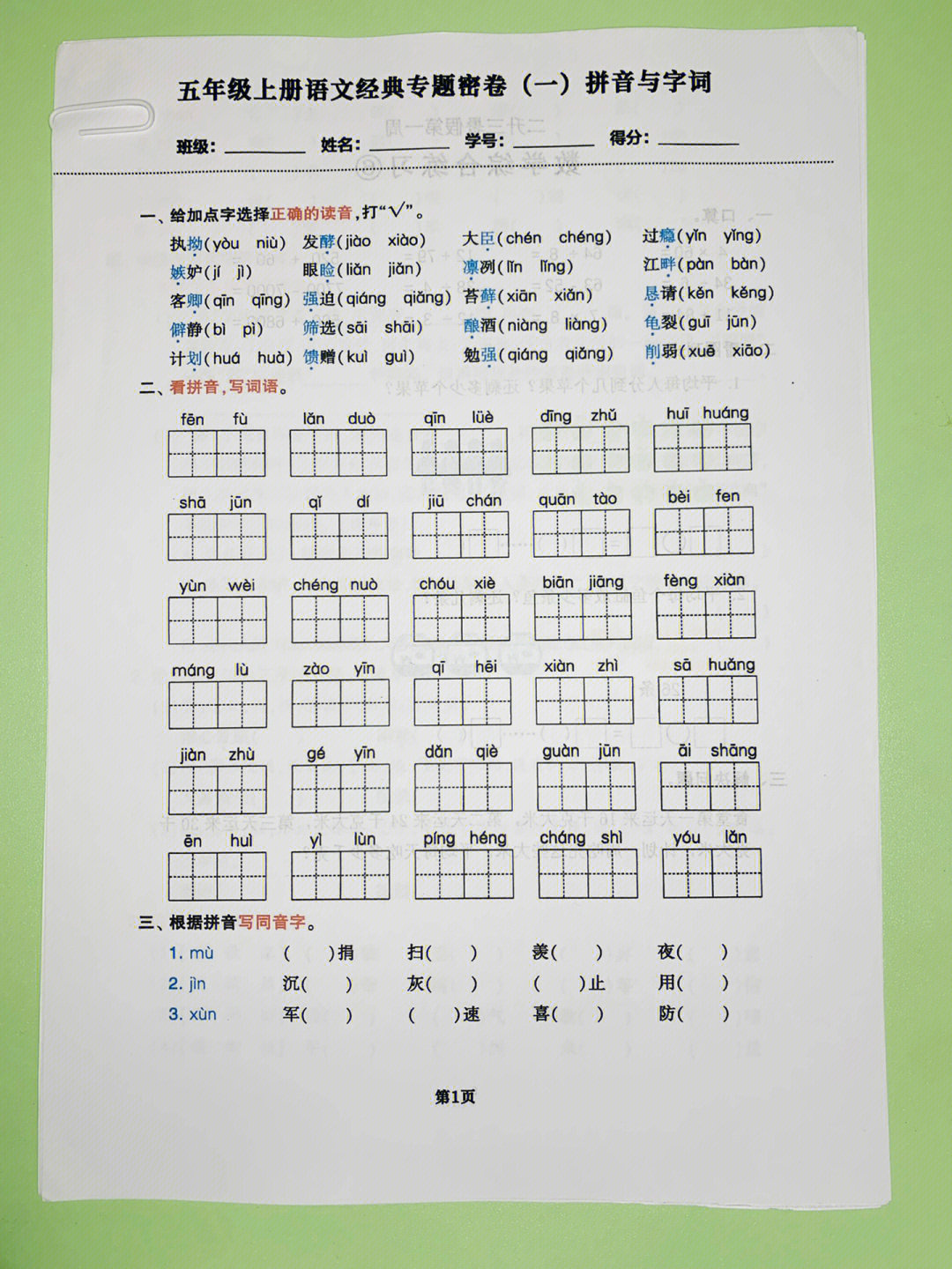 五年级上册语文经典专题密卷拼音与字词