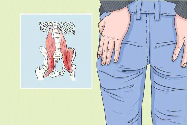 尾骨疼痛  又称为尾痛症,是指因各种原因导致骶骨下部,尾骨和其治围