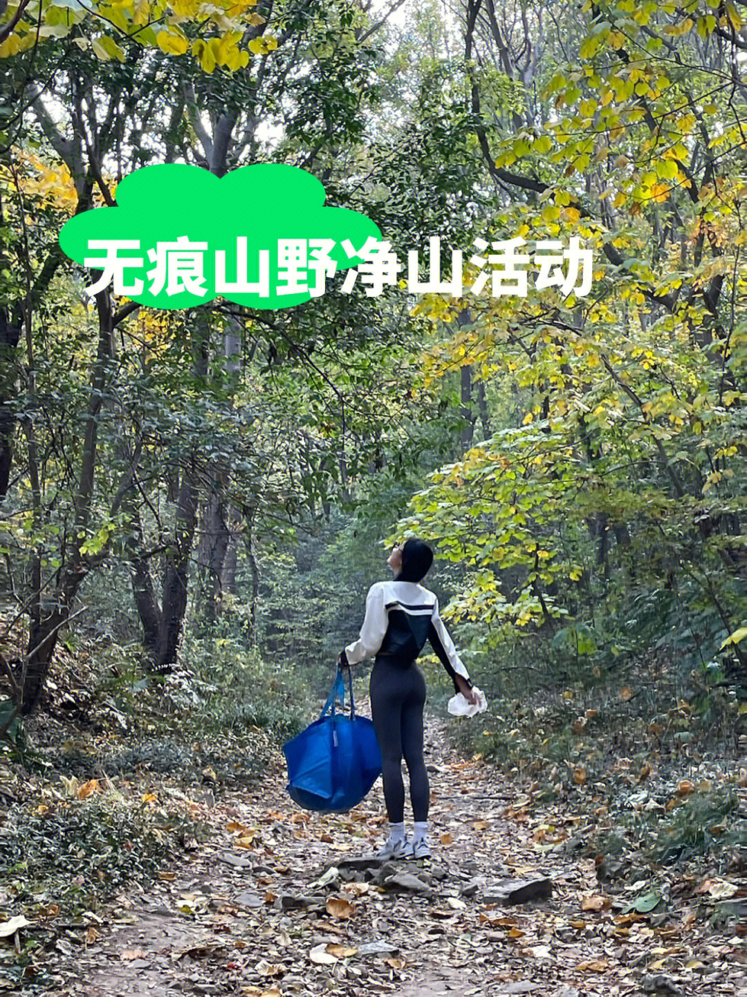 紫金山华泰登山道图片